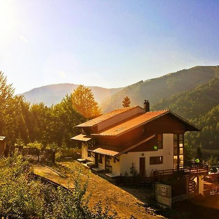 Casa Ferica Villa Azuga Kültér fotó