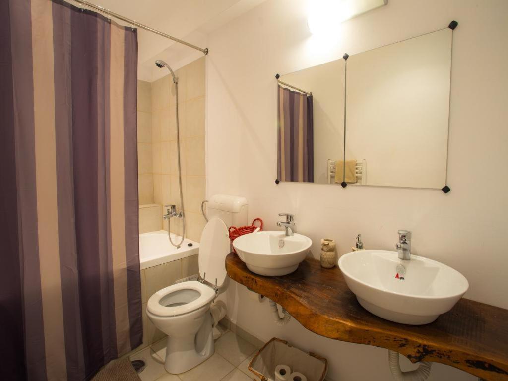 Casa Ferica Villa Azuga Kültér fotó