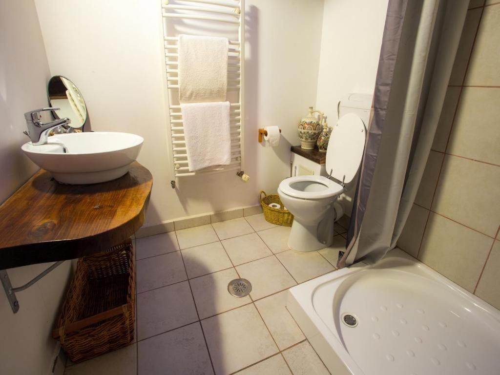 Casa Ferica Villa Azuga Kültér fotó