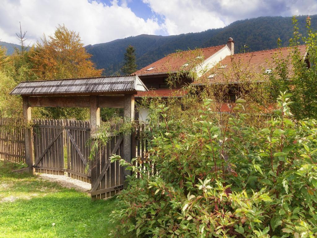 Casa Ferica Villa Azuga Kültér fotó
